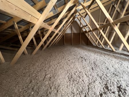 entretoit-cellulose-3-1-min